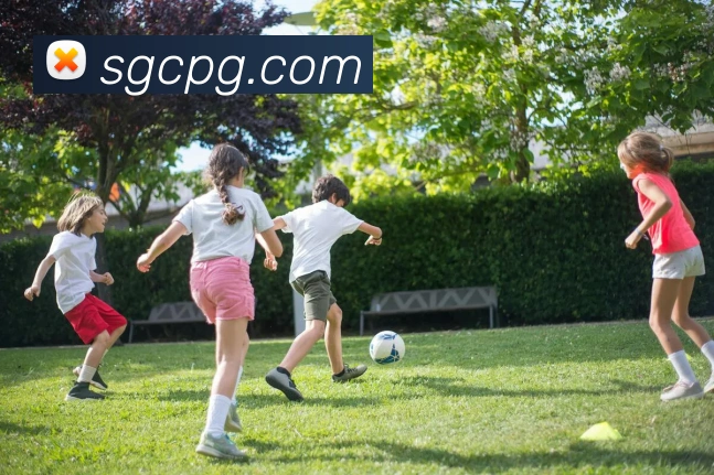 pgAPP 封面图